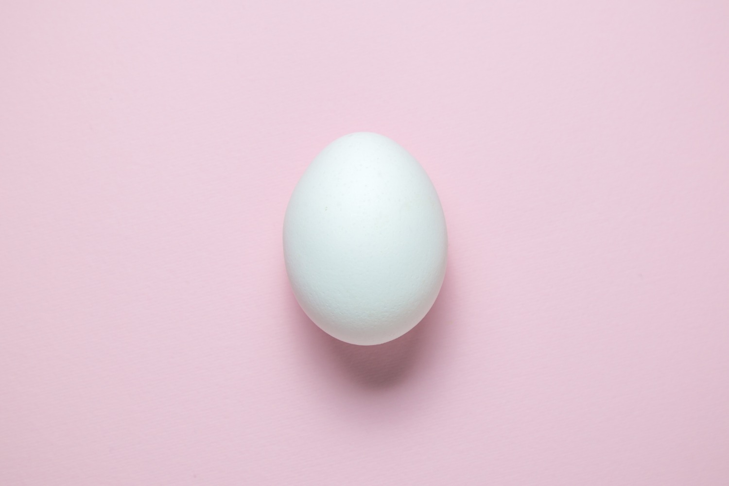 Egg on pink background