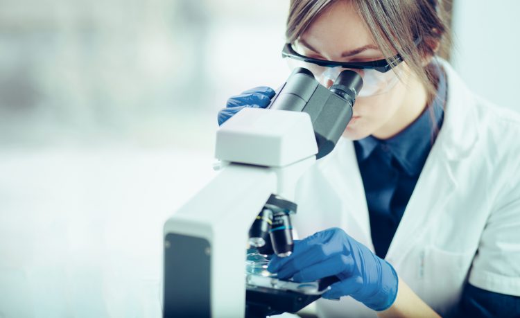 Scientist looking at embryo in laboratory
